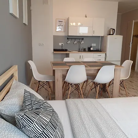 Apartment Rybka 17 *